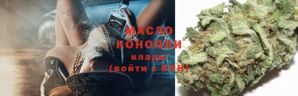 гидра Медногорск