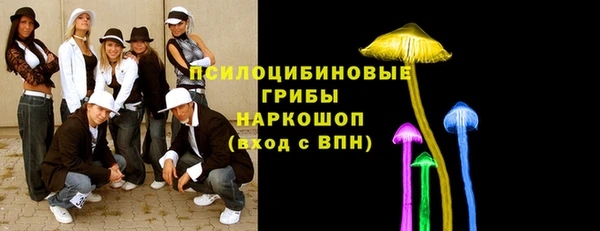 гидра Медногорск