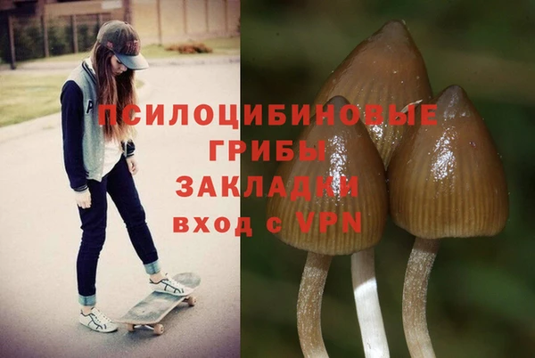 кокаин премиум Медвежьегорск